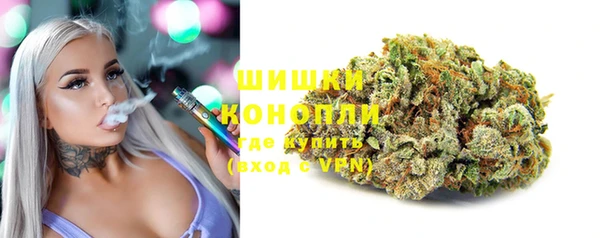 ALPHA PVP Куйбышев