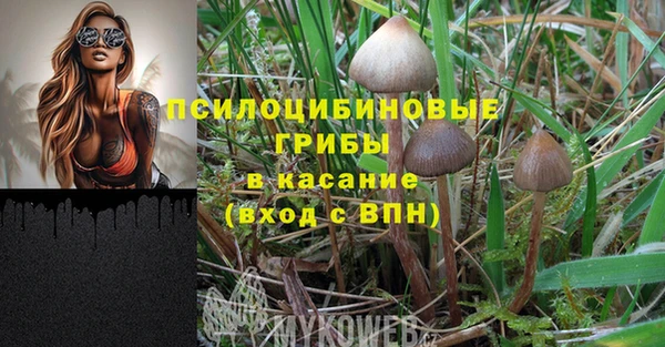 круглые Арсеньев
